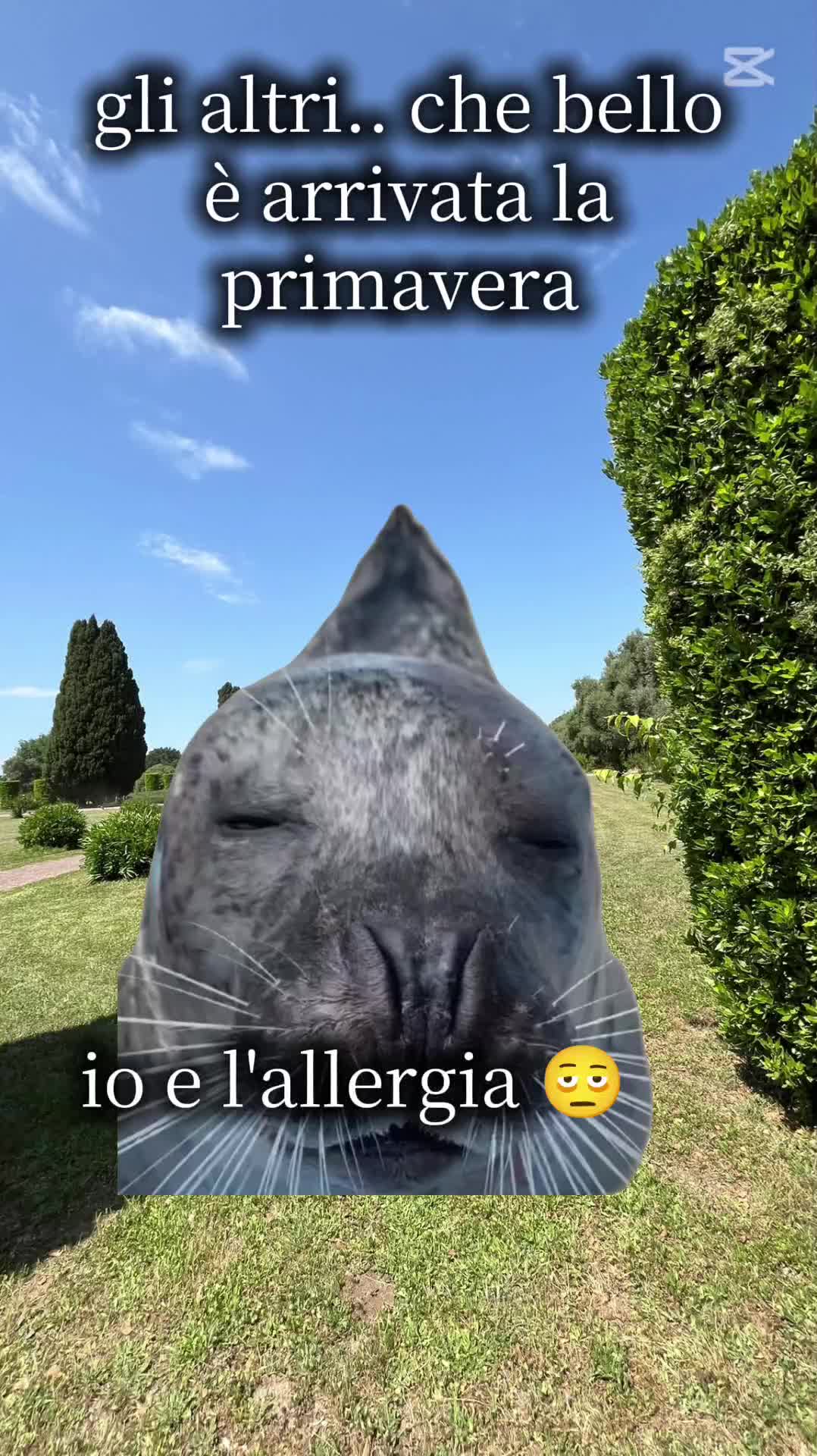 @Clizia 🌻