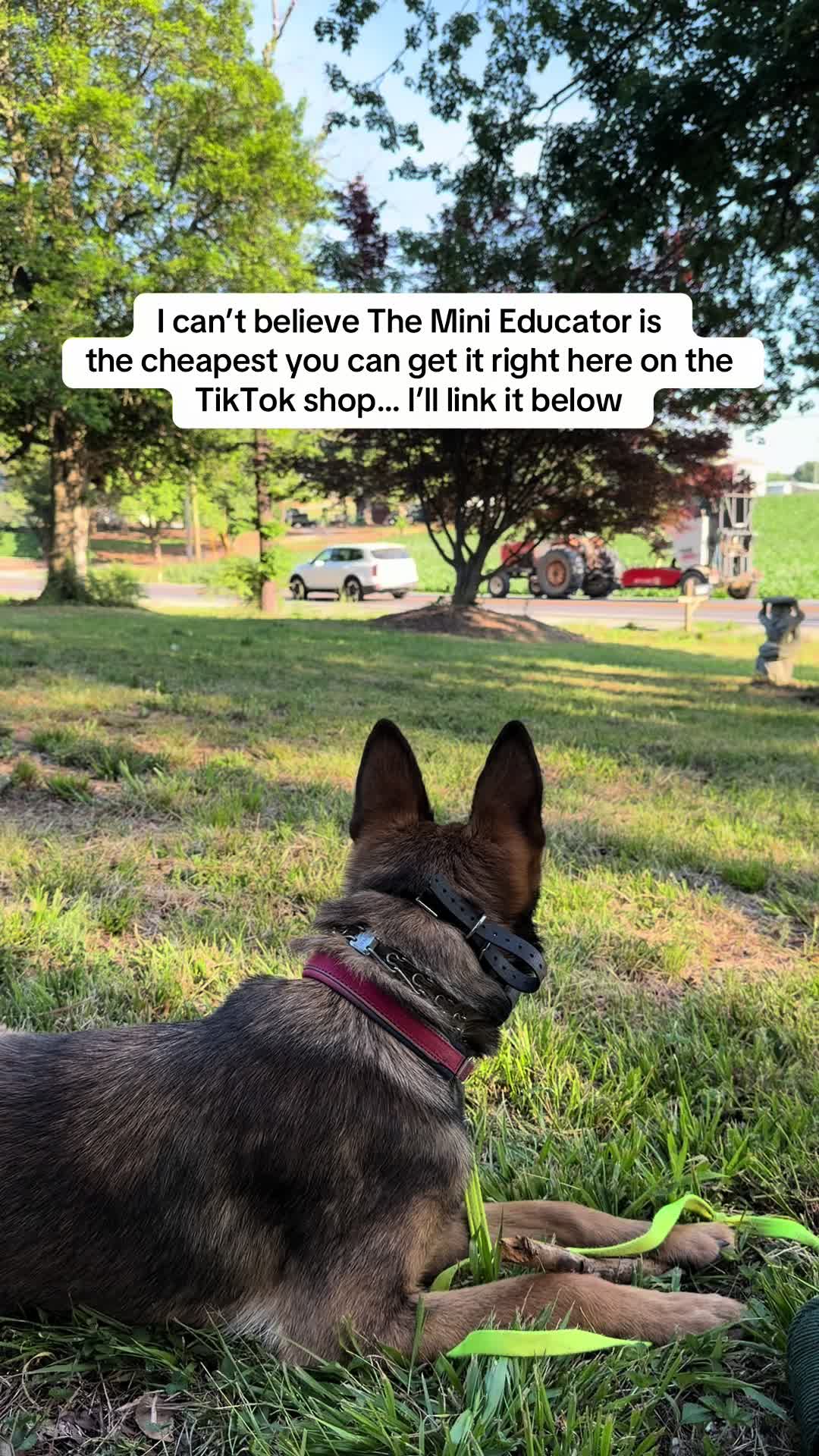 @jaysonthebag
