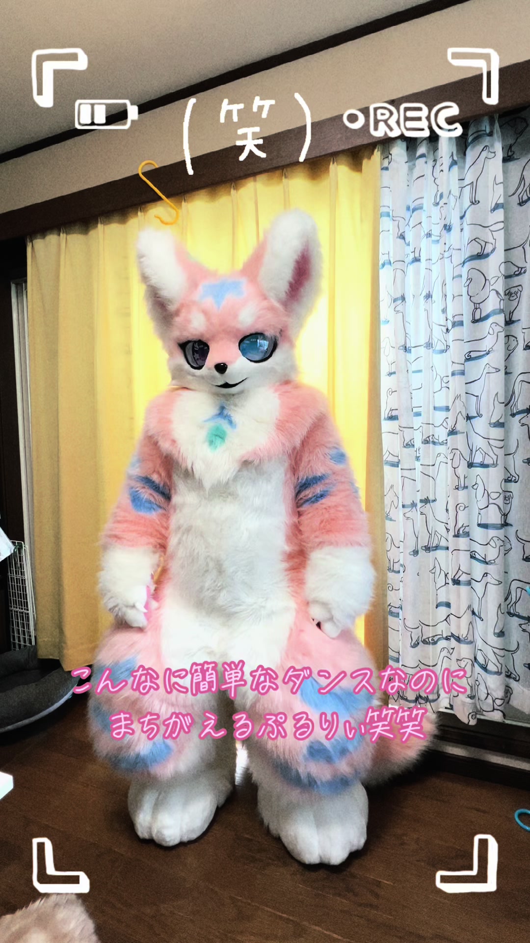 @はてなむじな。