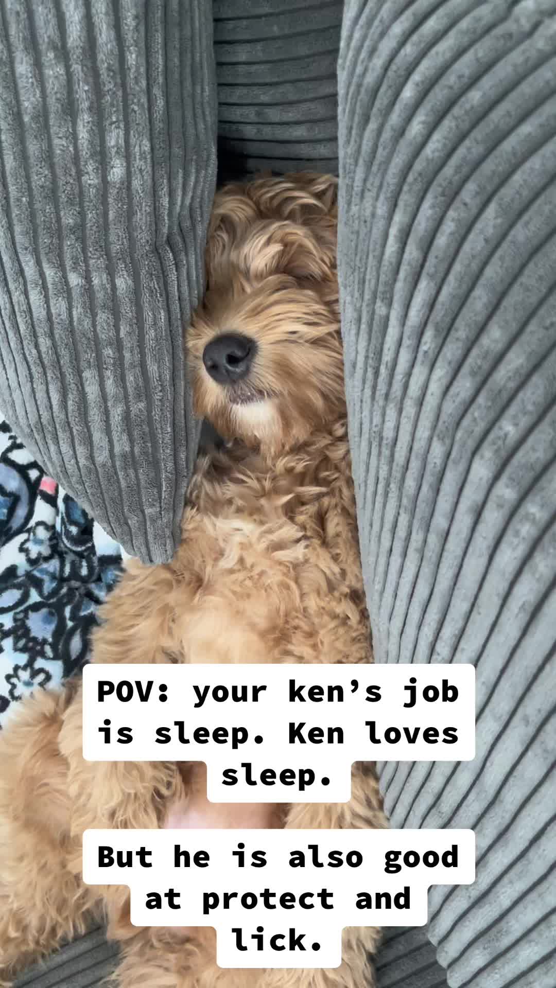 @Nood the Dood