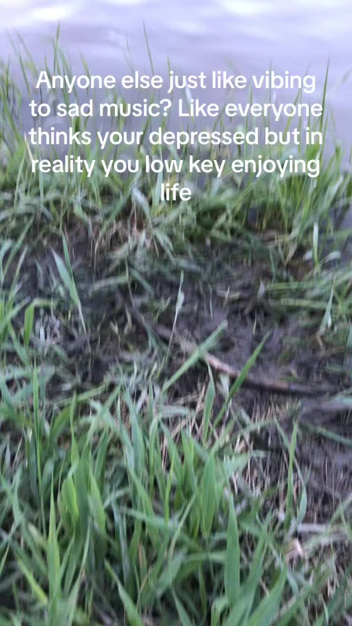 @mclean406._