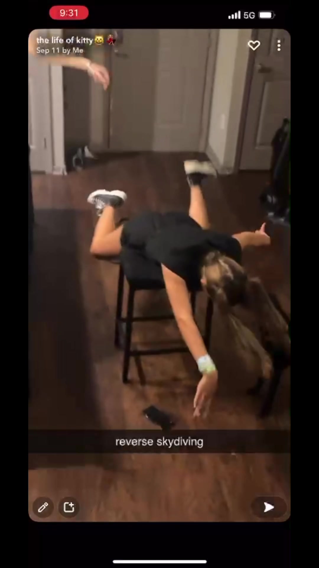 @lexitootle