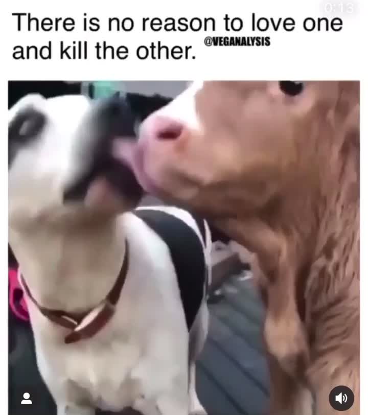 @unicornsandoatlatte