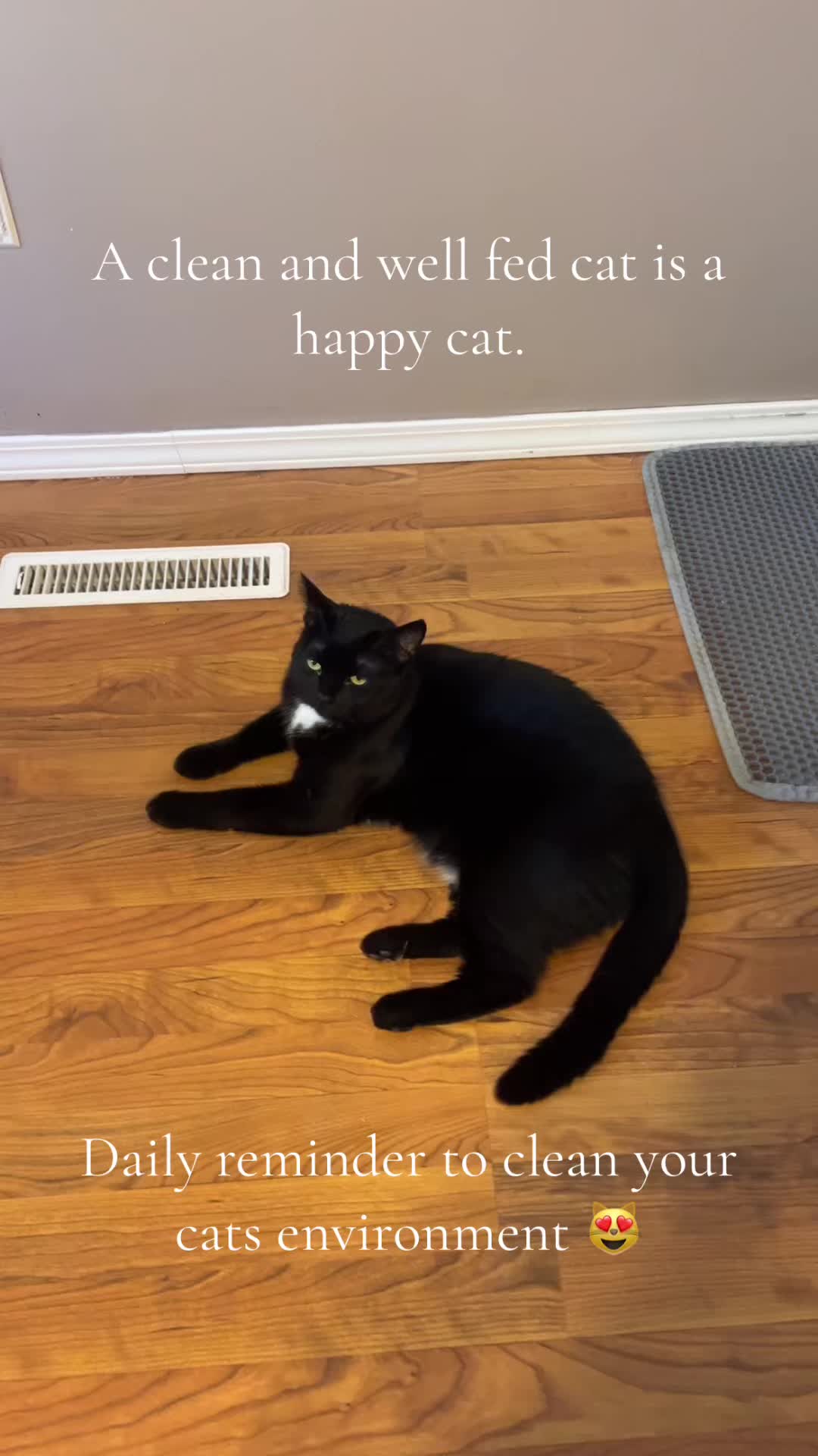 @Purrito, Taylor, and 13
