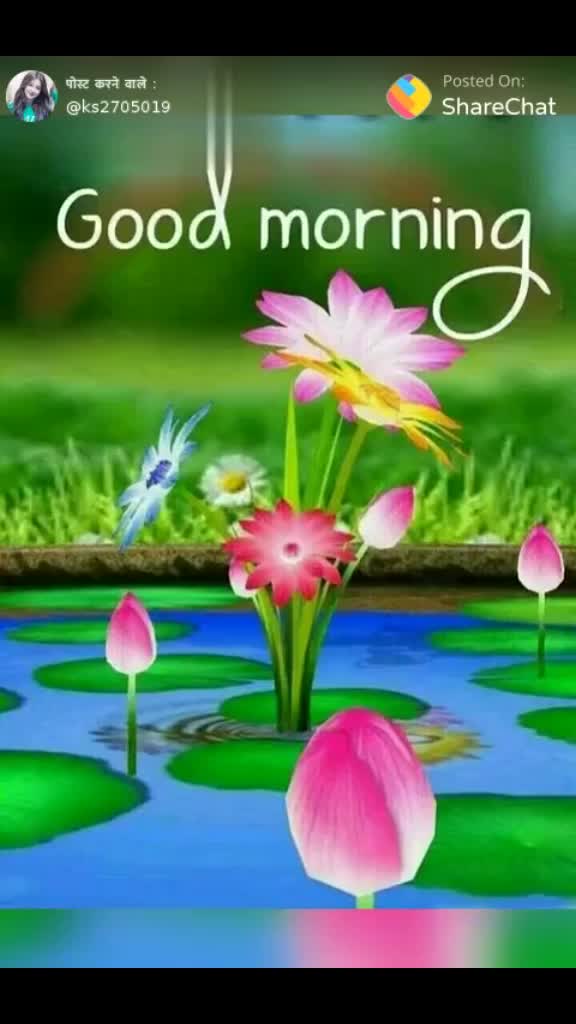 @Yashoda Prajapati