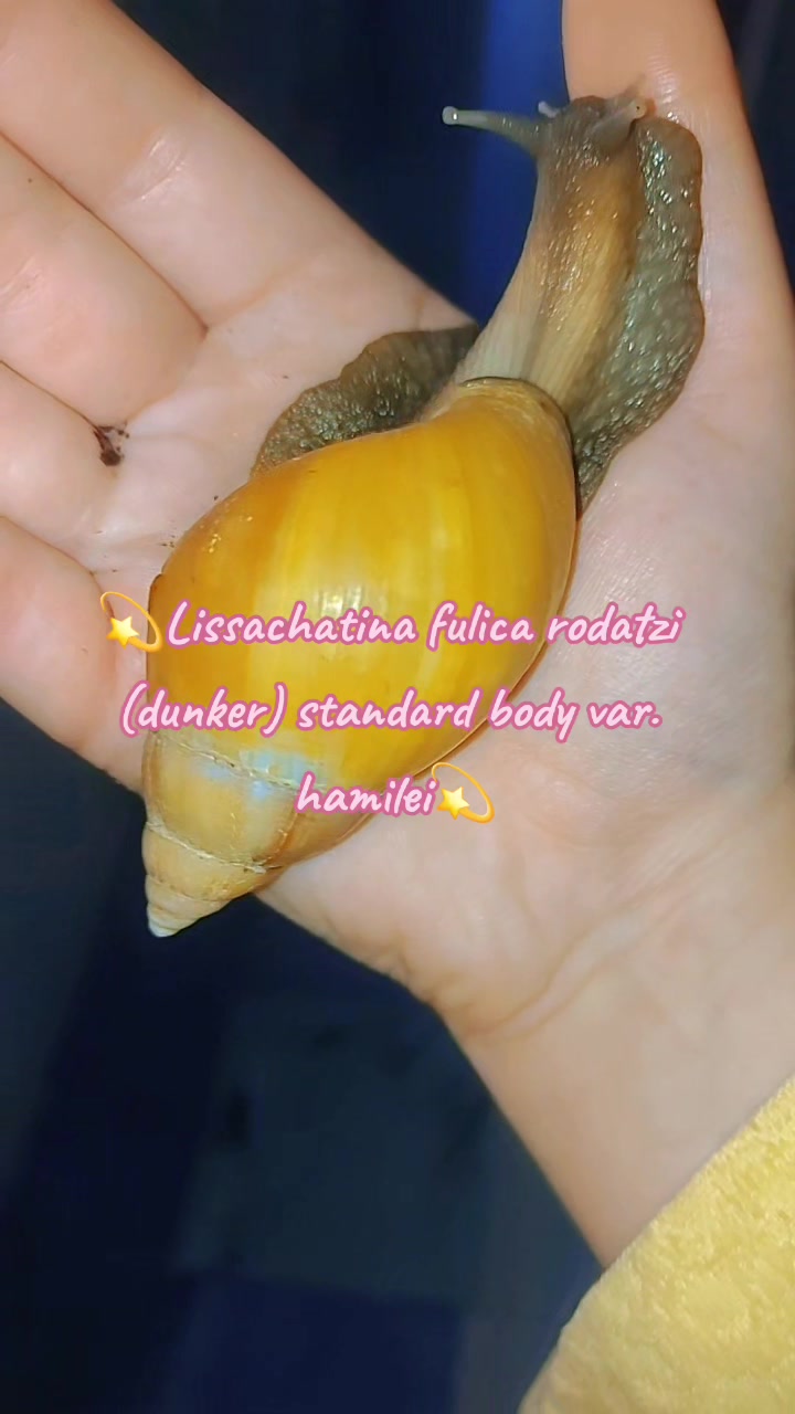 @🐌Яся Ясень🐌