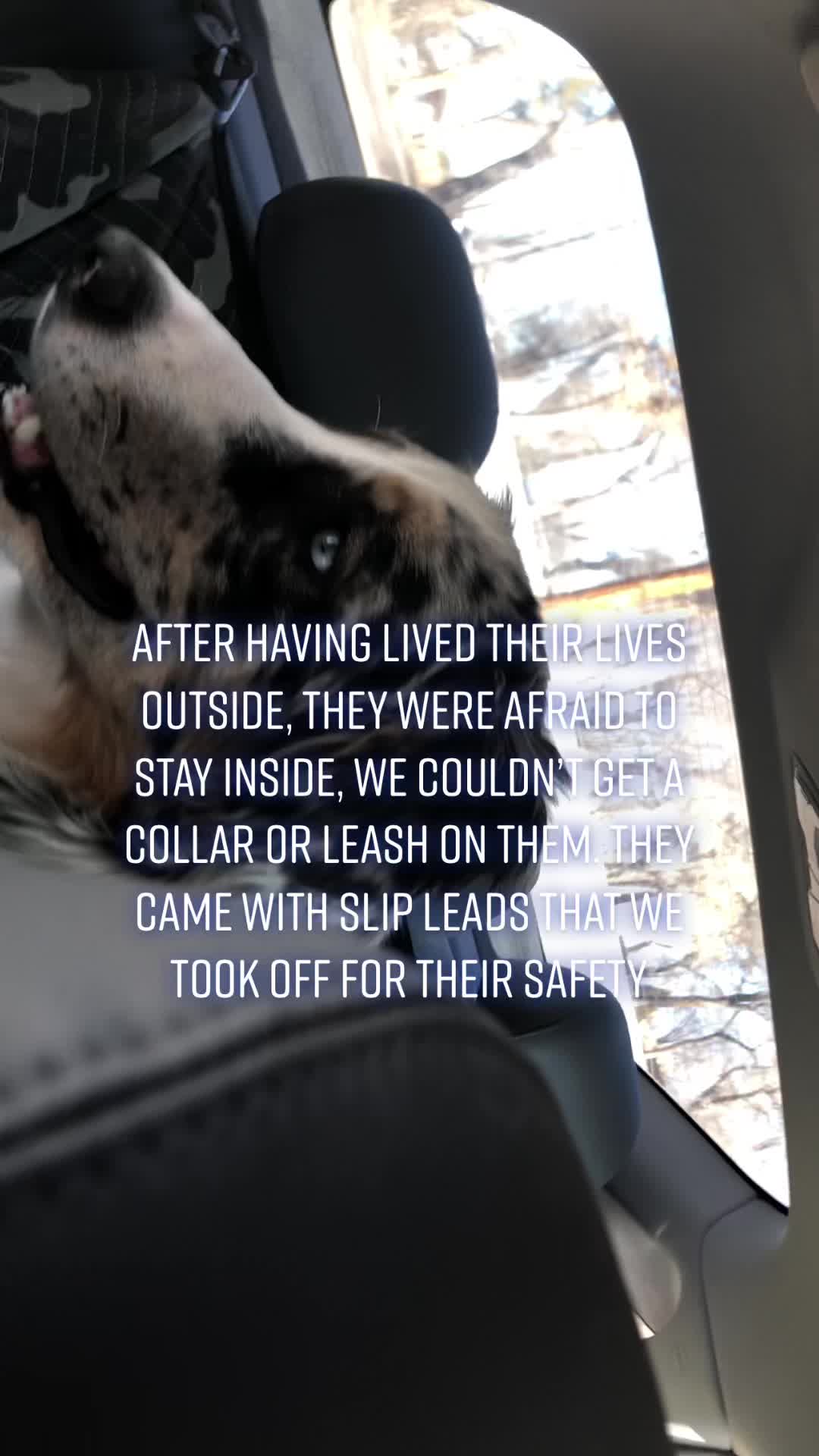 @seeingdoublemerle