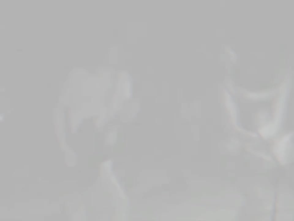 @Faqiiiiih