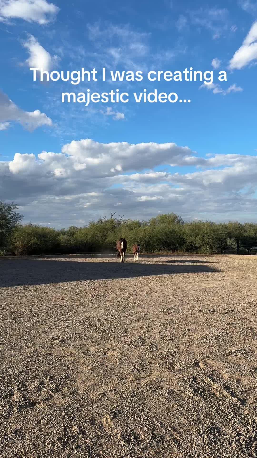 @Apache Powder Ranch