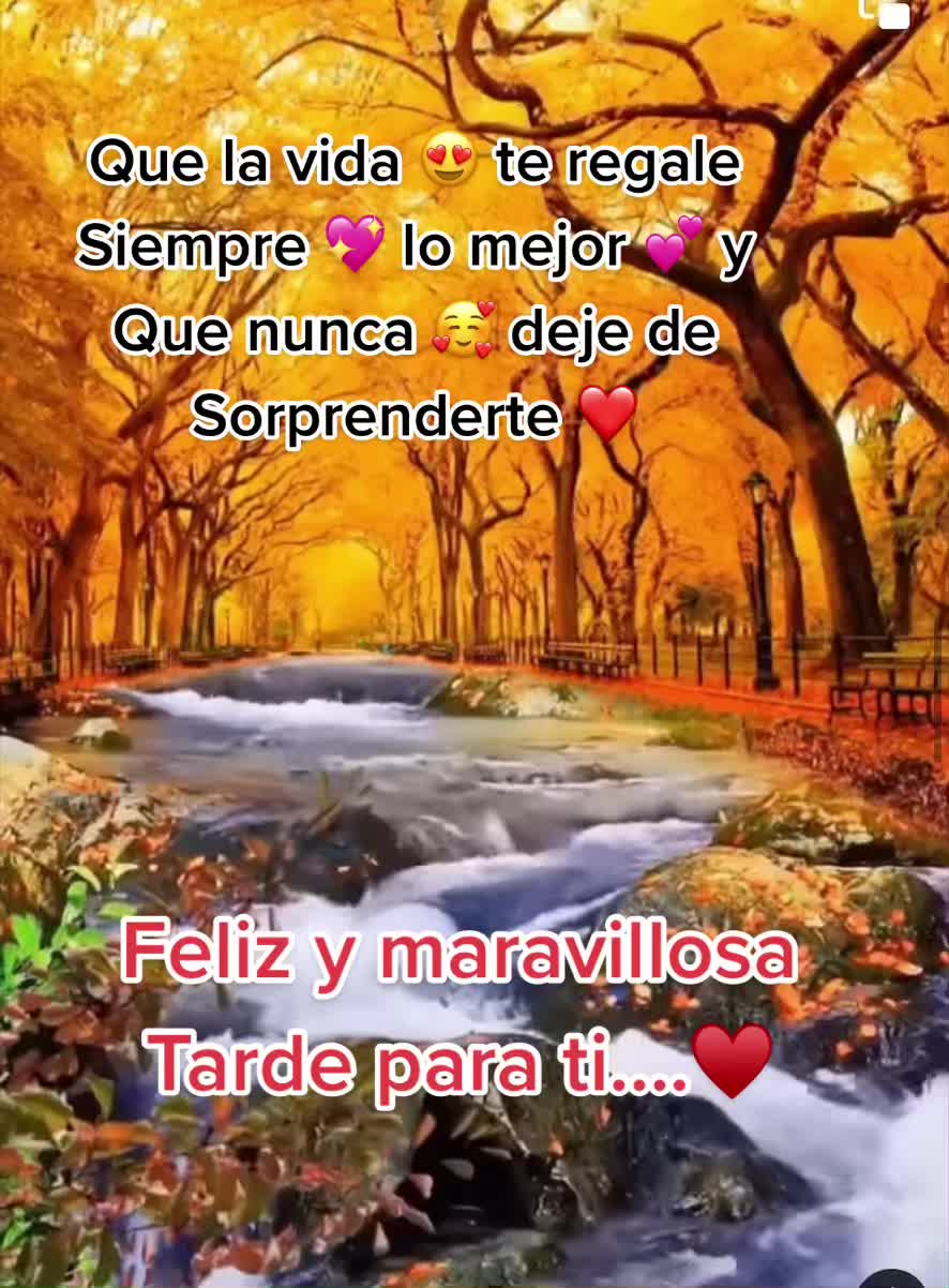 @❤️sanando el alma❤️