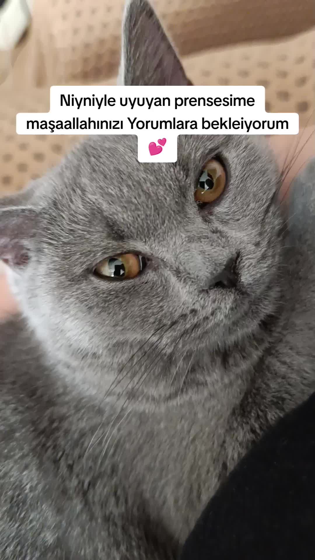 @Elif Enise Alançay