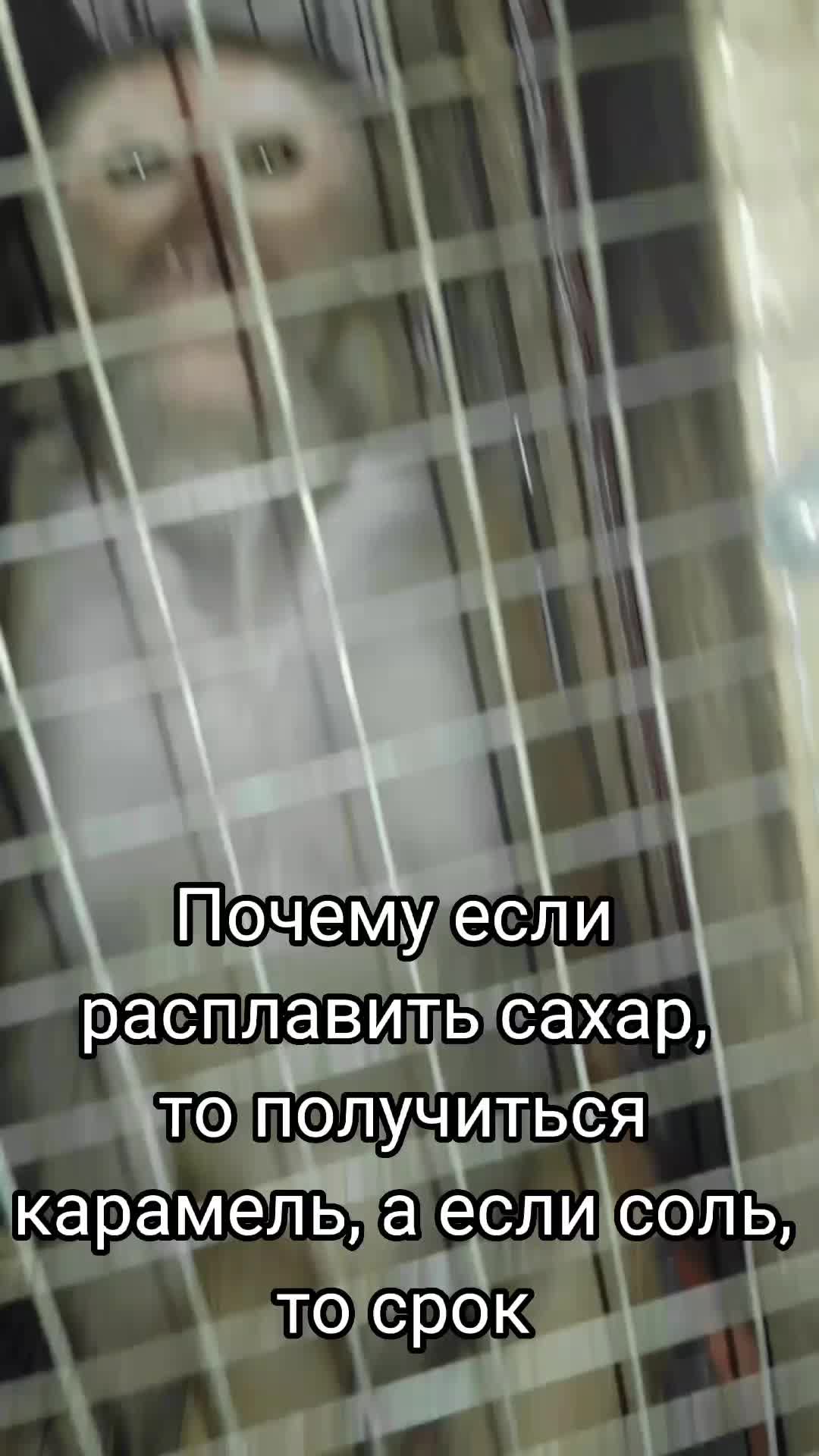 @GifkiCmakakami