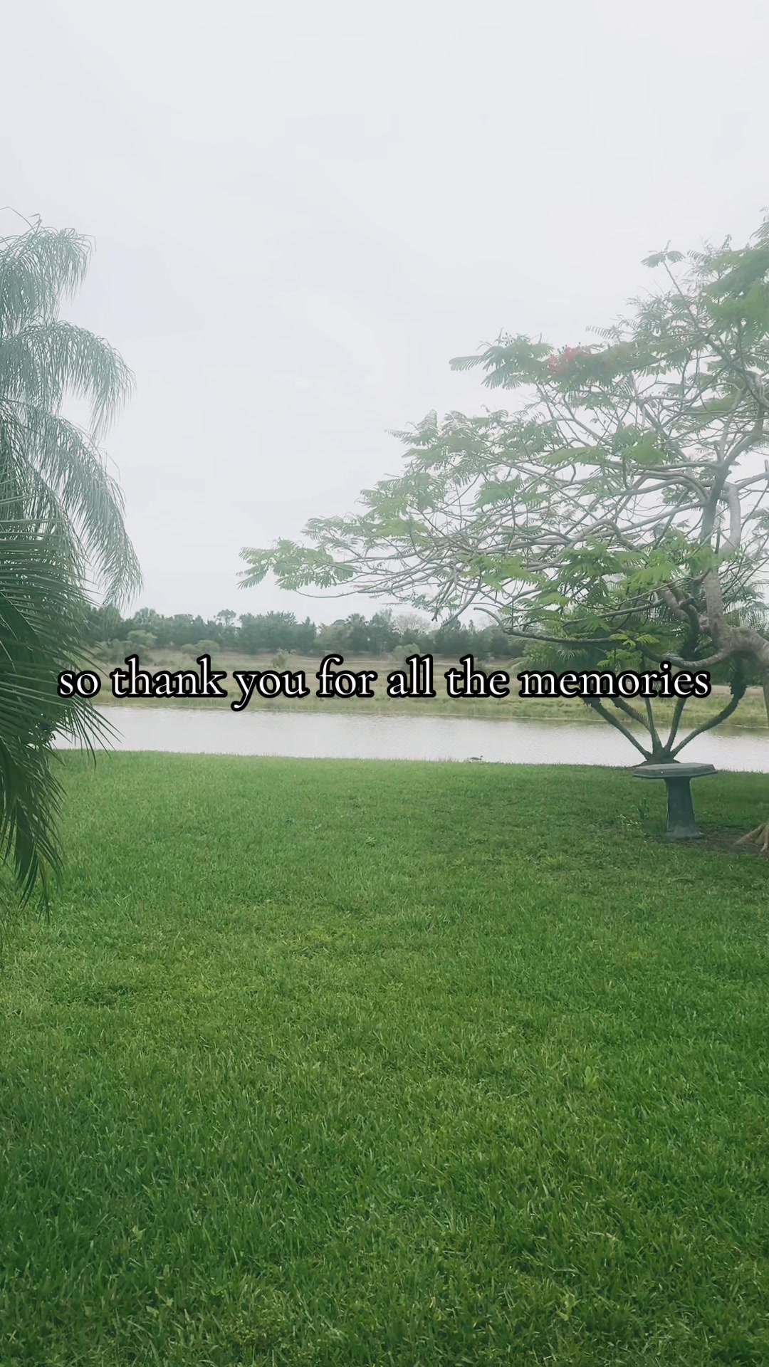 @Victor Gomez🇲🇽