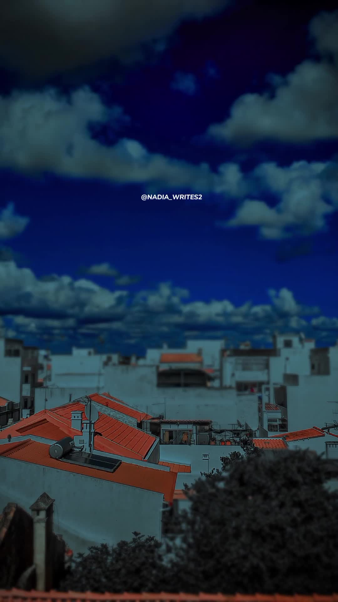 @★♡𝐒𝐅ﮩ٨ـﮩﮩ٨ـ➳❥♡★
