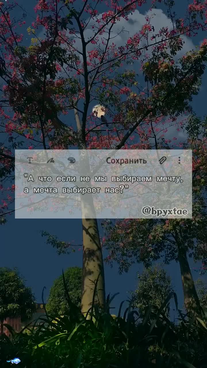 @сага эмне жок👻
