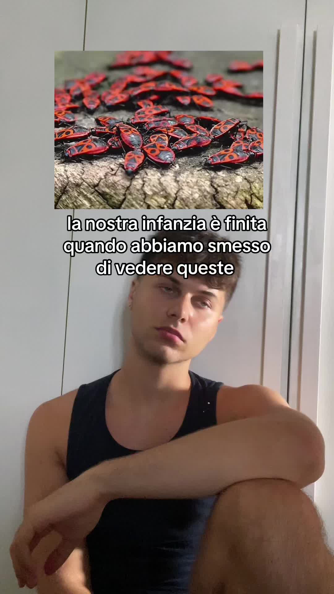 @silvio