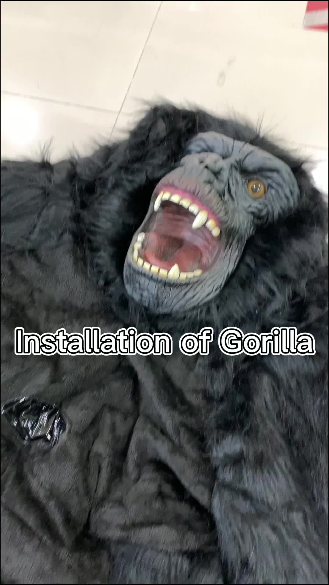 @bigmascotcostume