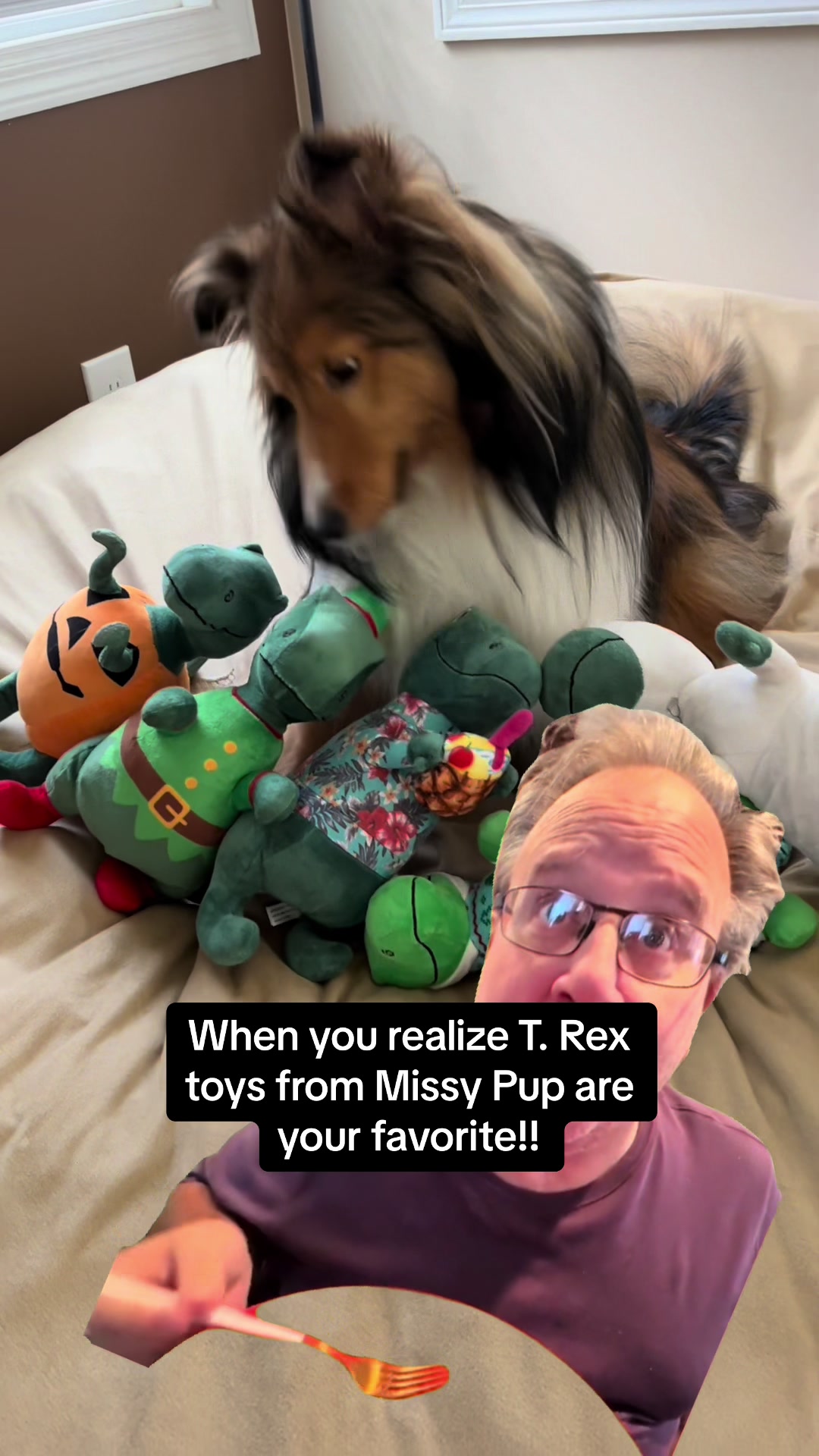@Pepin The Sheltie