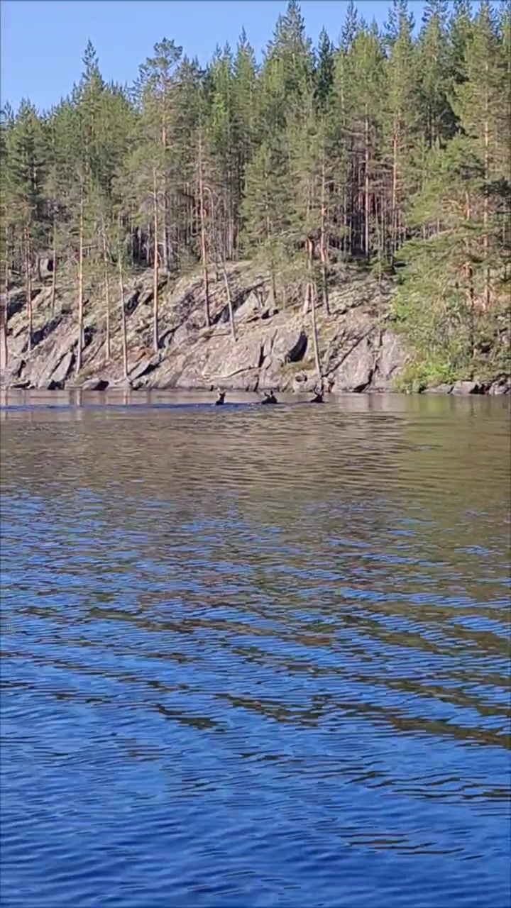 @Topi_Saasta