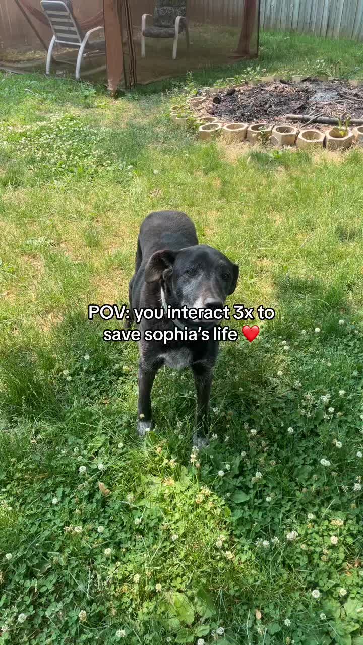 @emily