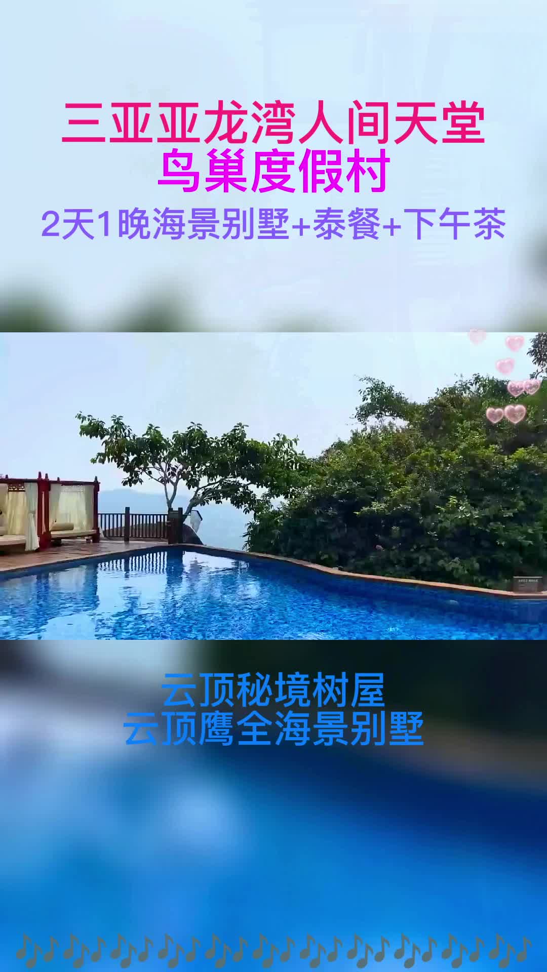 @an95999