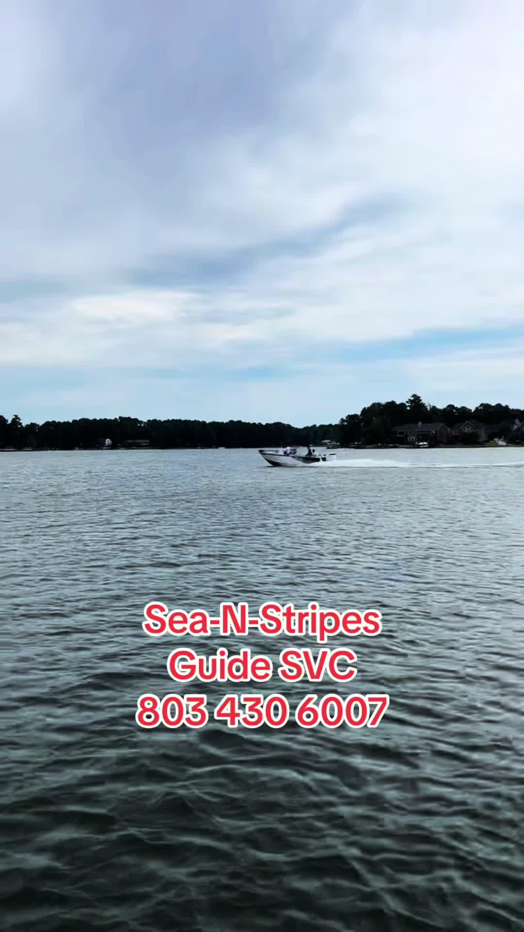 @Sea-N-Stripes Guide Service 🎣