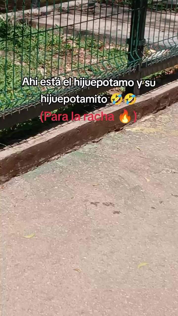 @King 👑