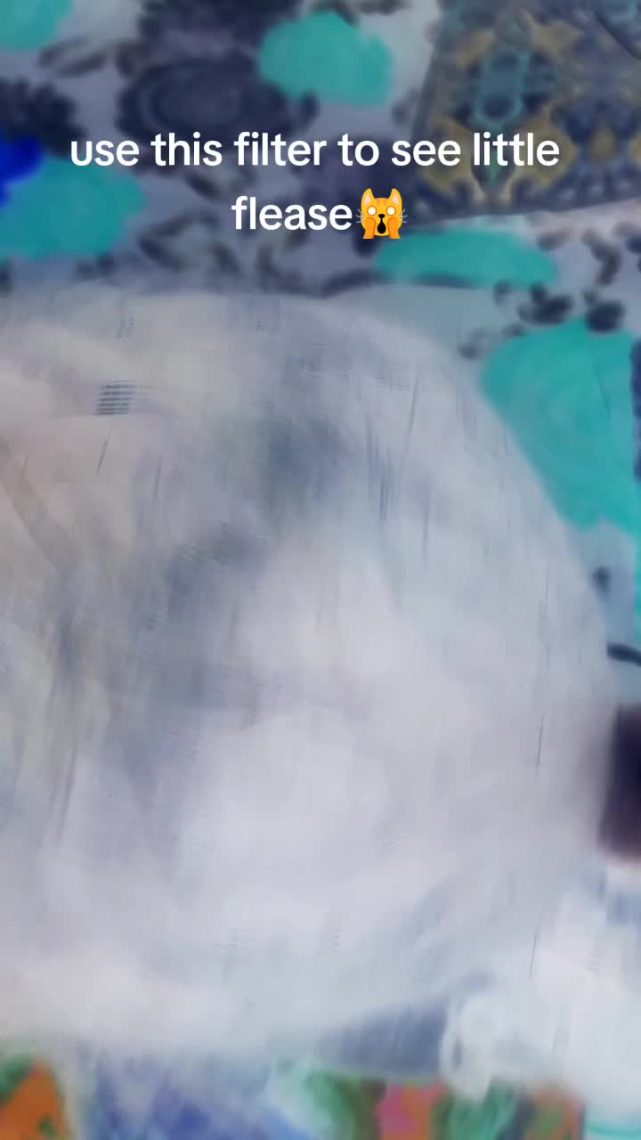 @Alvi_1234s