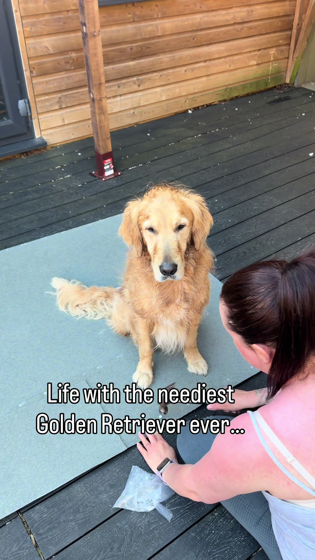 @5 Shades of Golden
