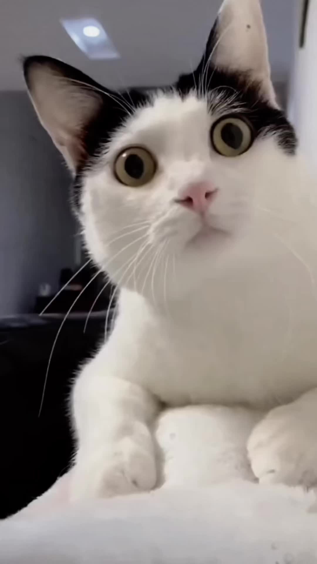 @Kely Souza