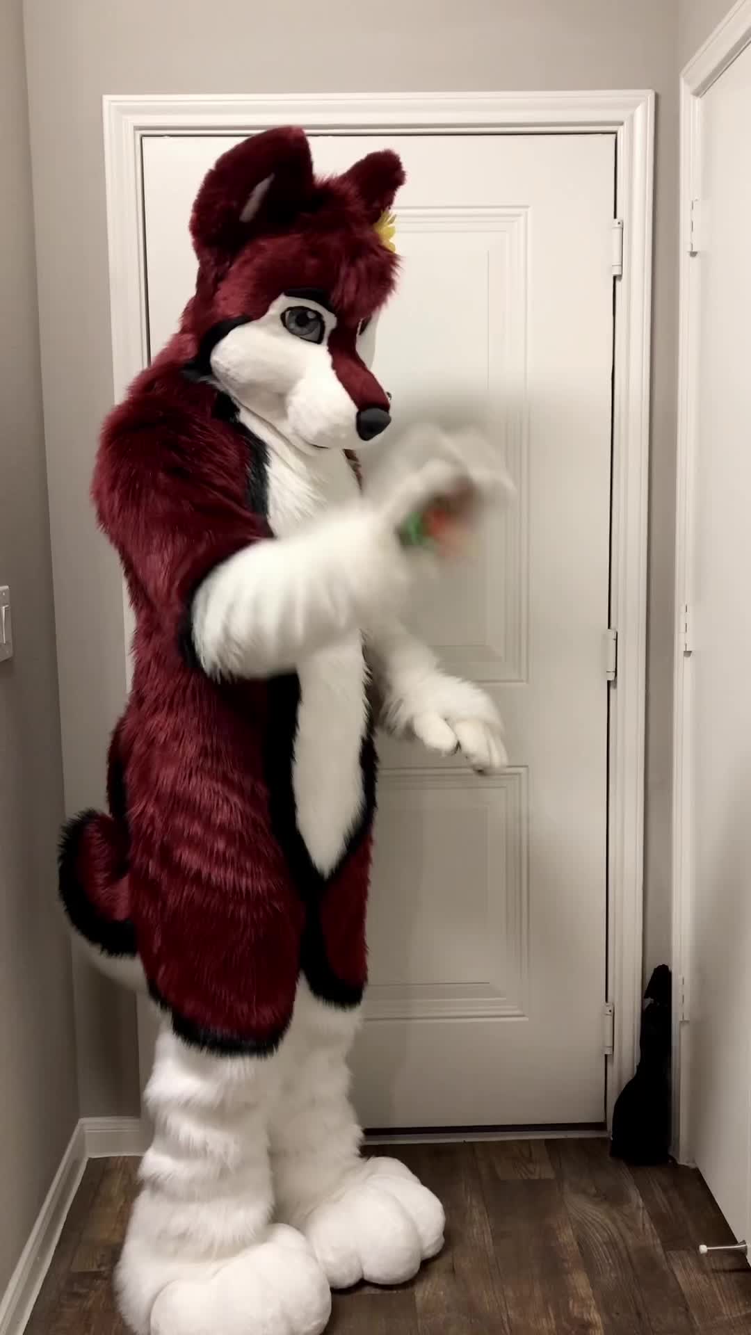 @Knoxx1616