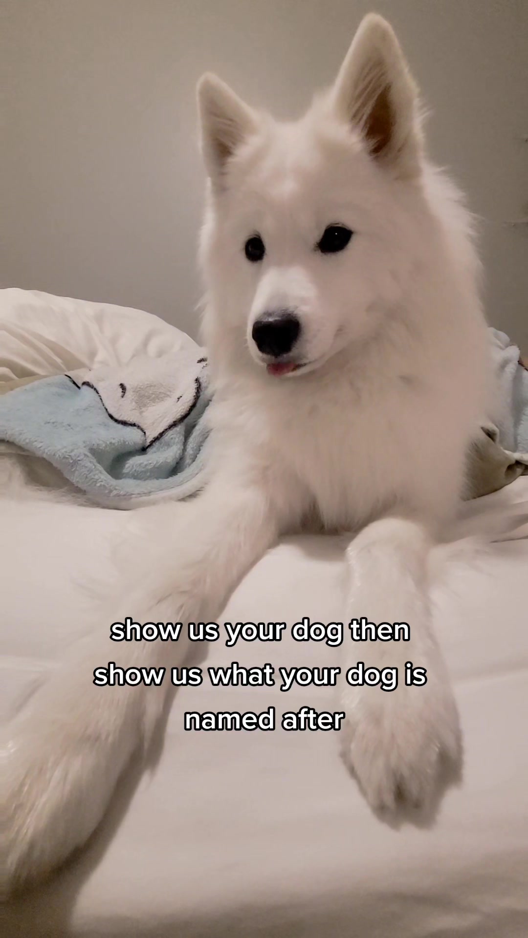 @Lux