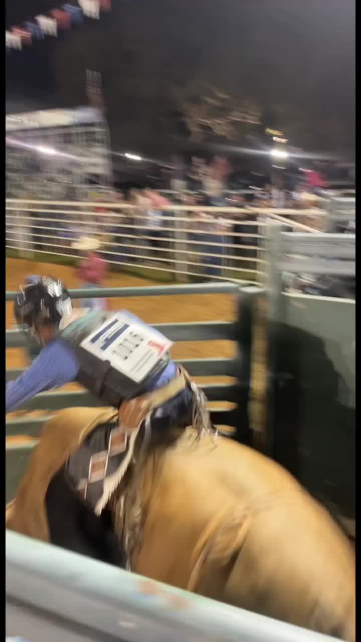 @Bull hand loud