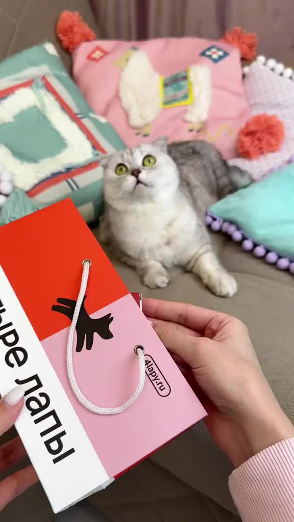 @sonyakoepp