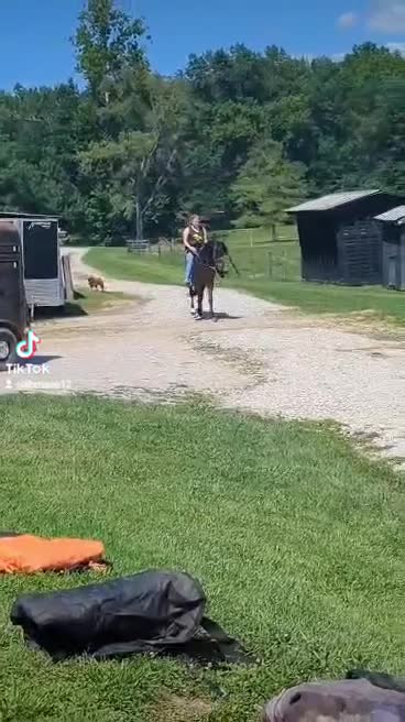 @Mane Stream Stables