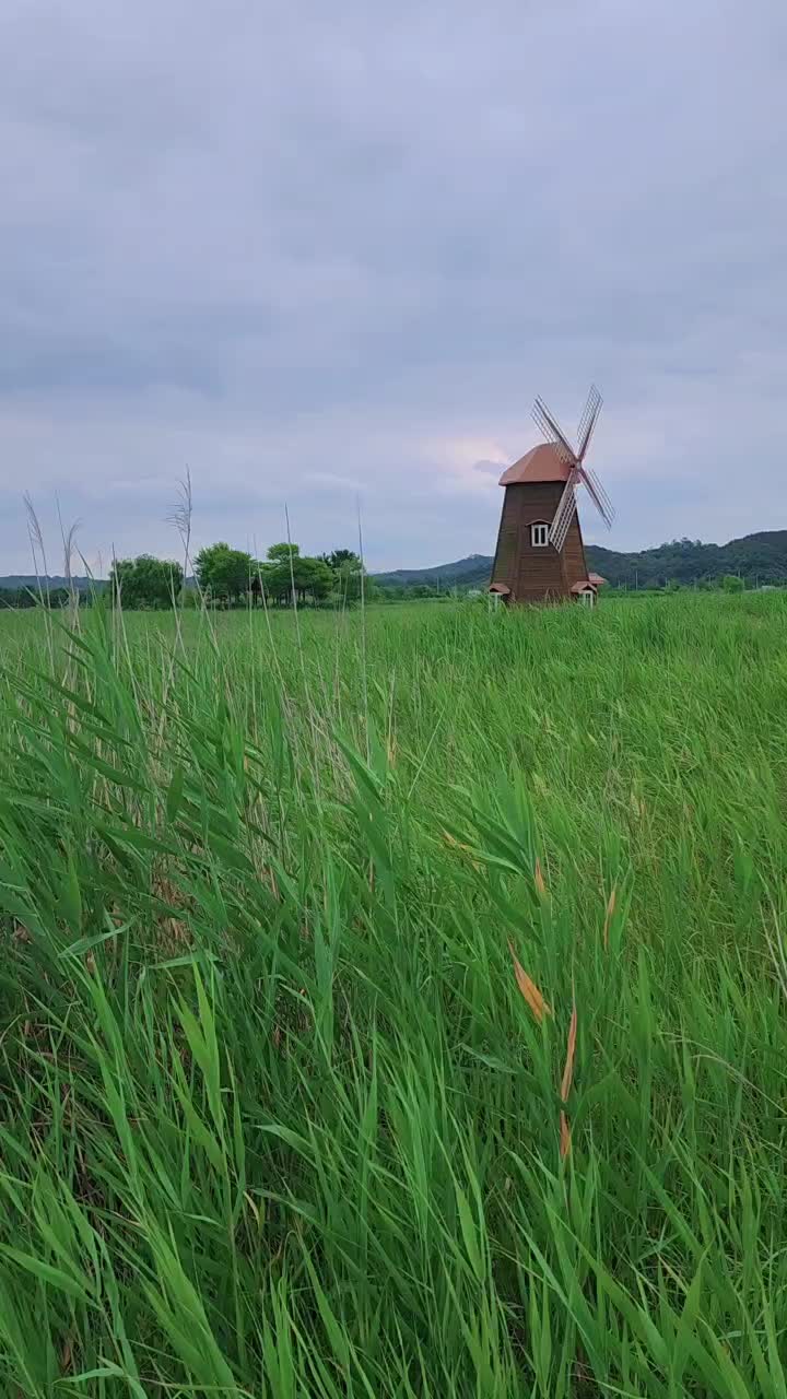 @Widiantoro이예요₩