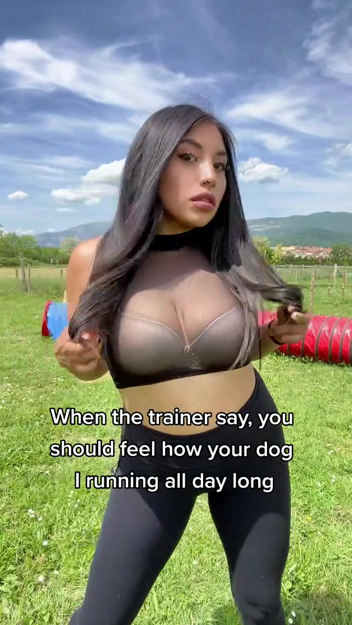 @krisyourdogtrainer