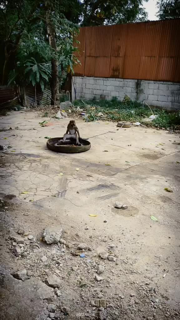 @Airwin Buenaobra