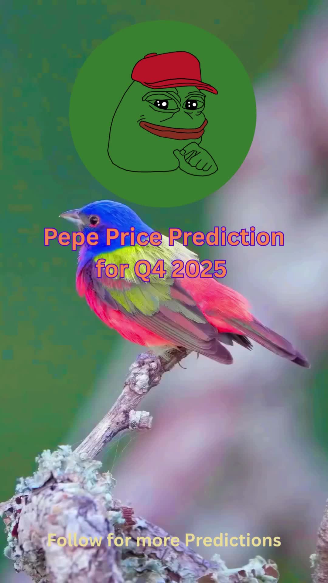 @CryptoVisionary