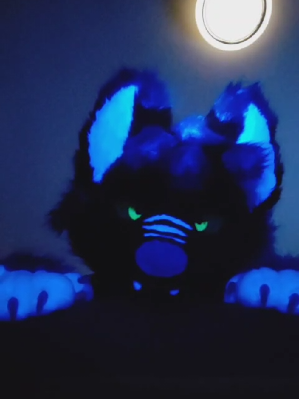 @HypaDook/FlowFox