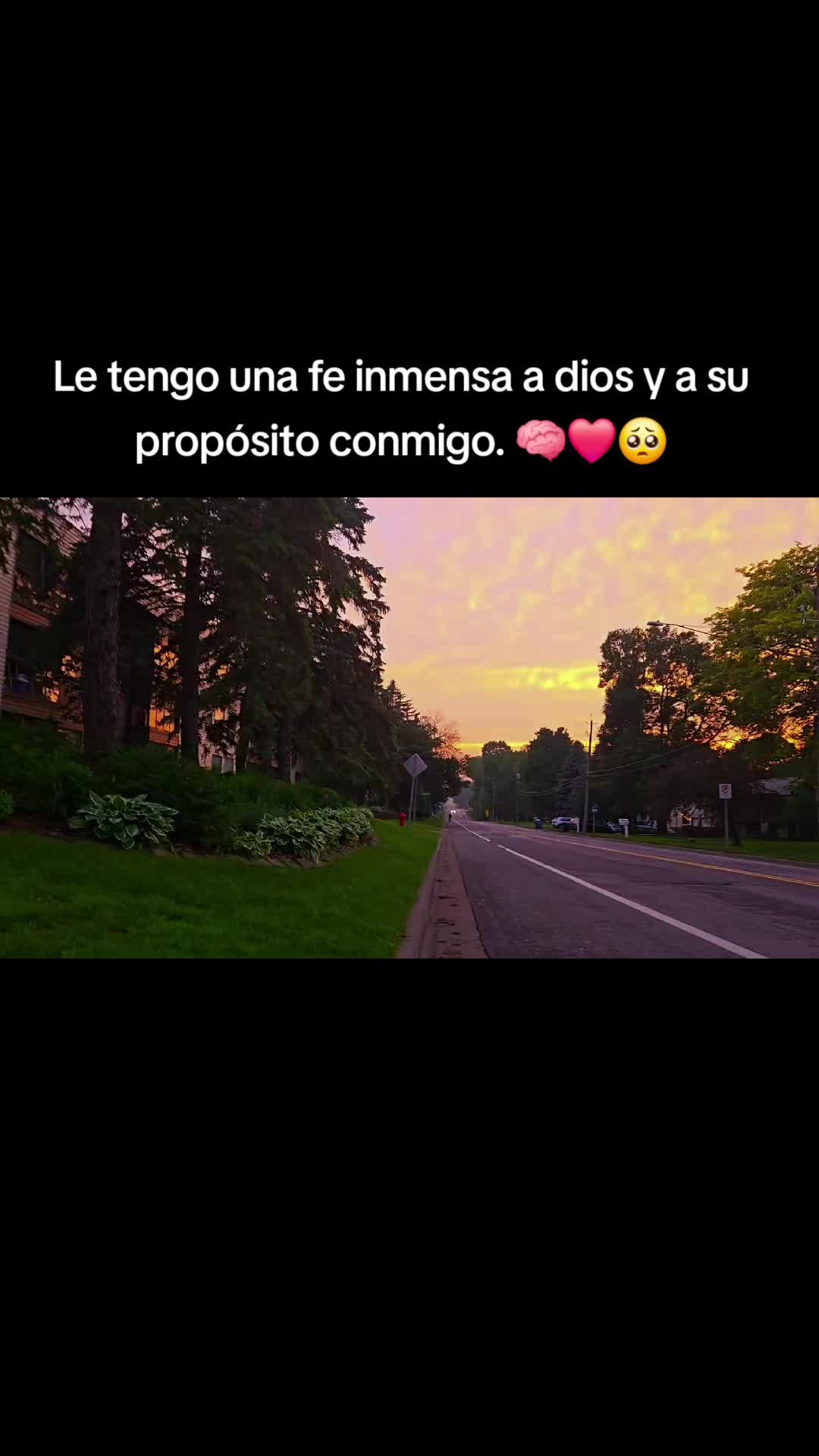 @Carlos🐨