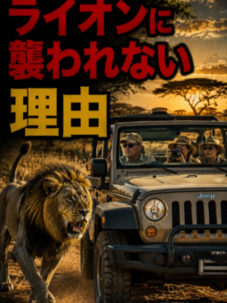@bikkuri_animal_lab