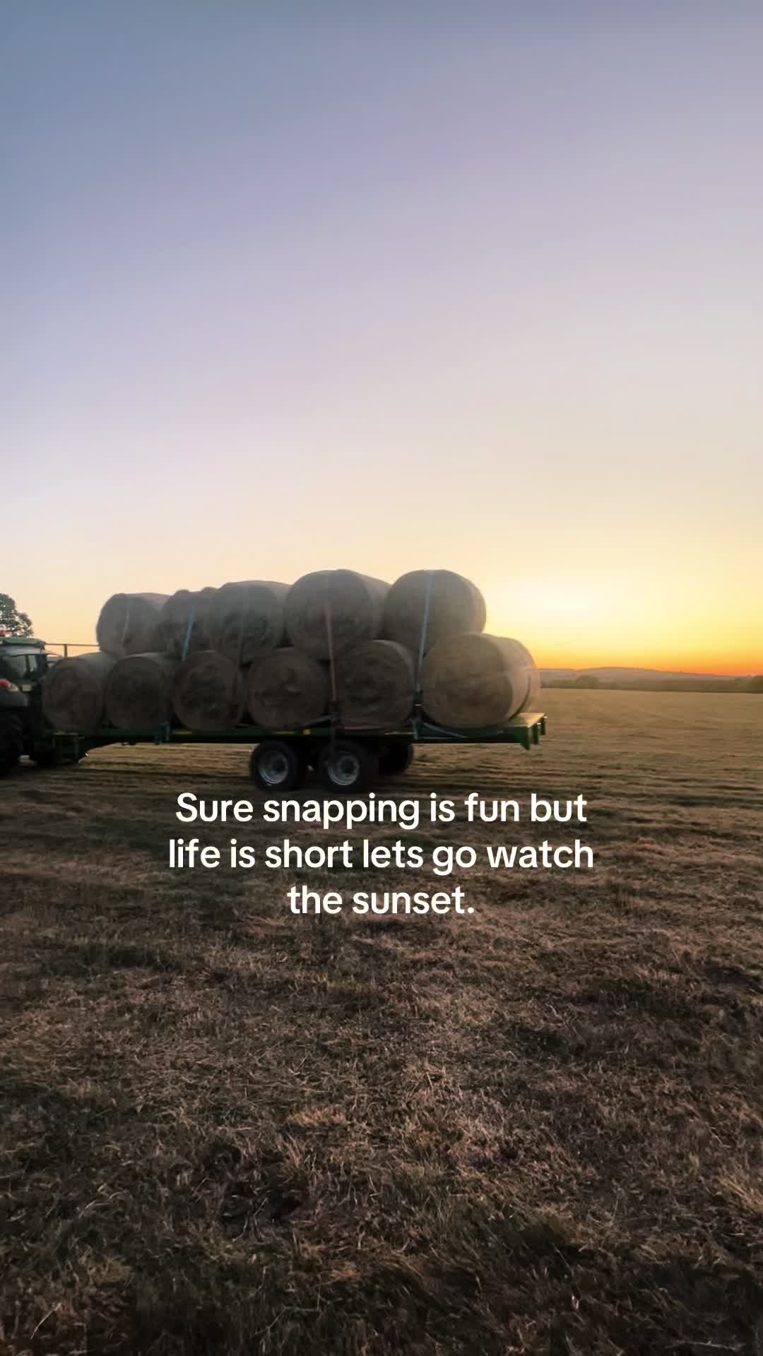 @LassontheLand🌾