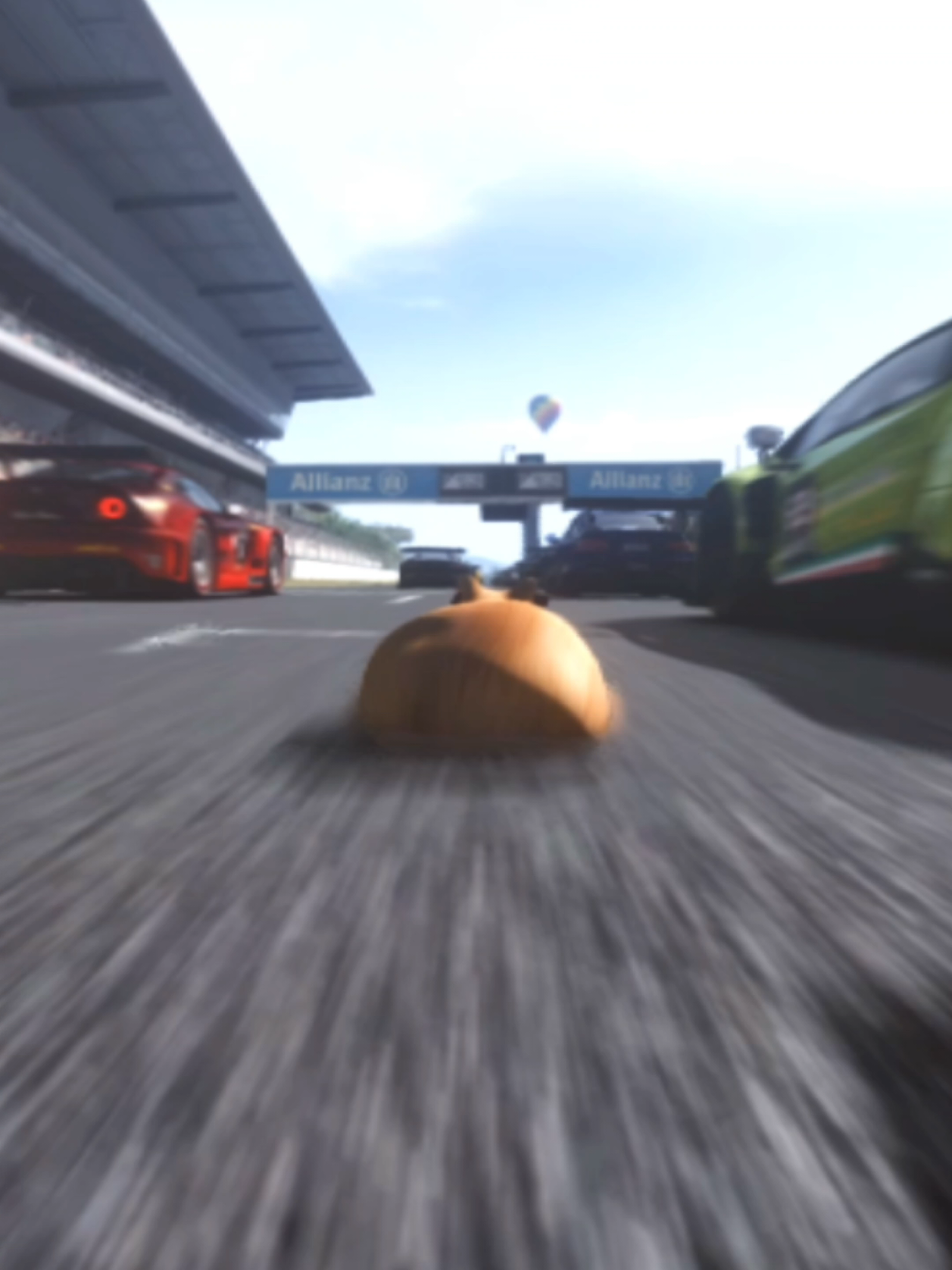 @Pablo the Race Cat