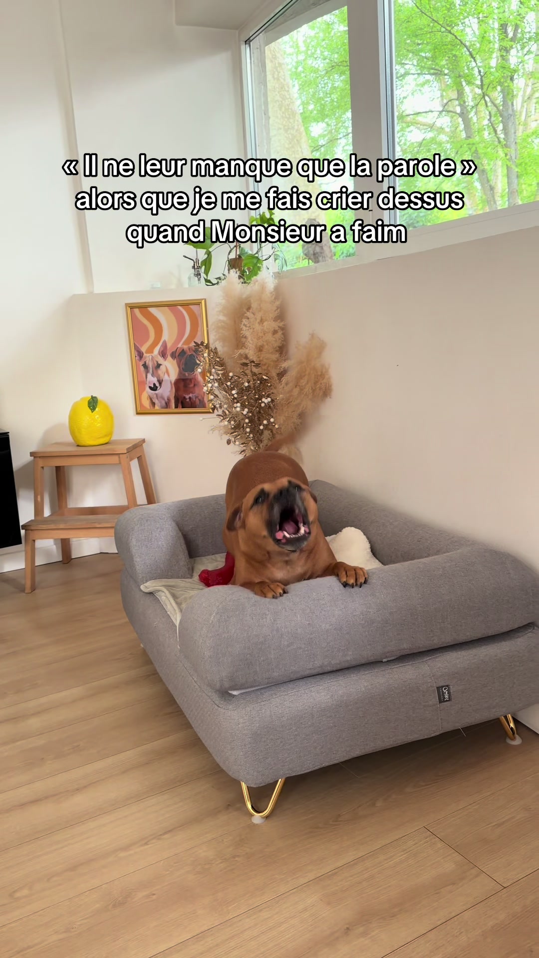 @Dogragnar 🐶👑