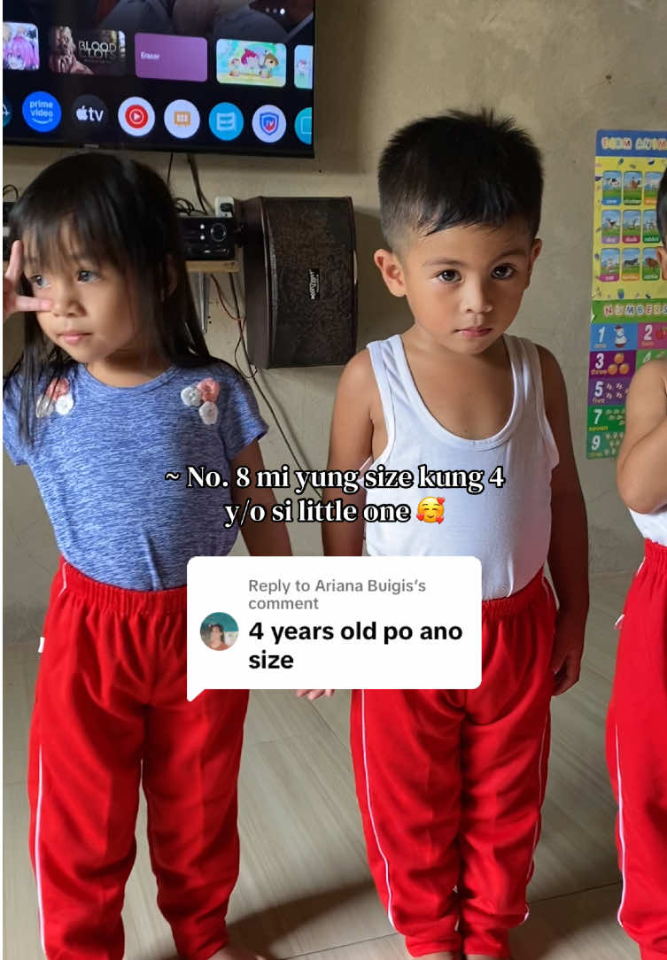 @Aizel R. Valencia-Susa ˚⋆𐙚