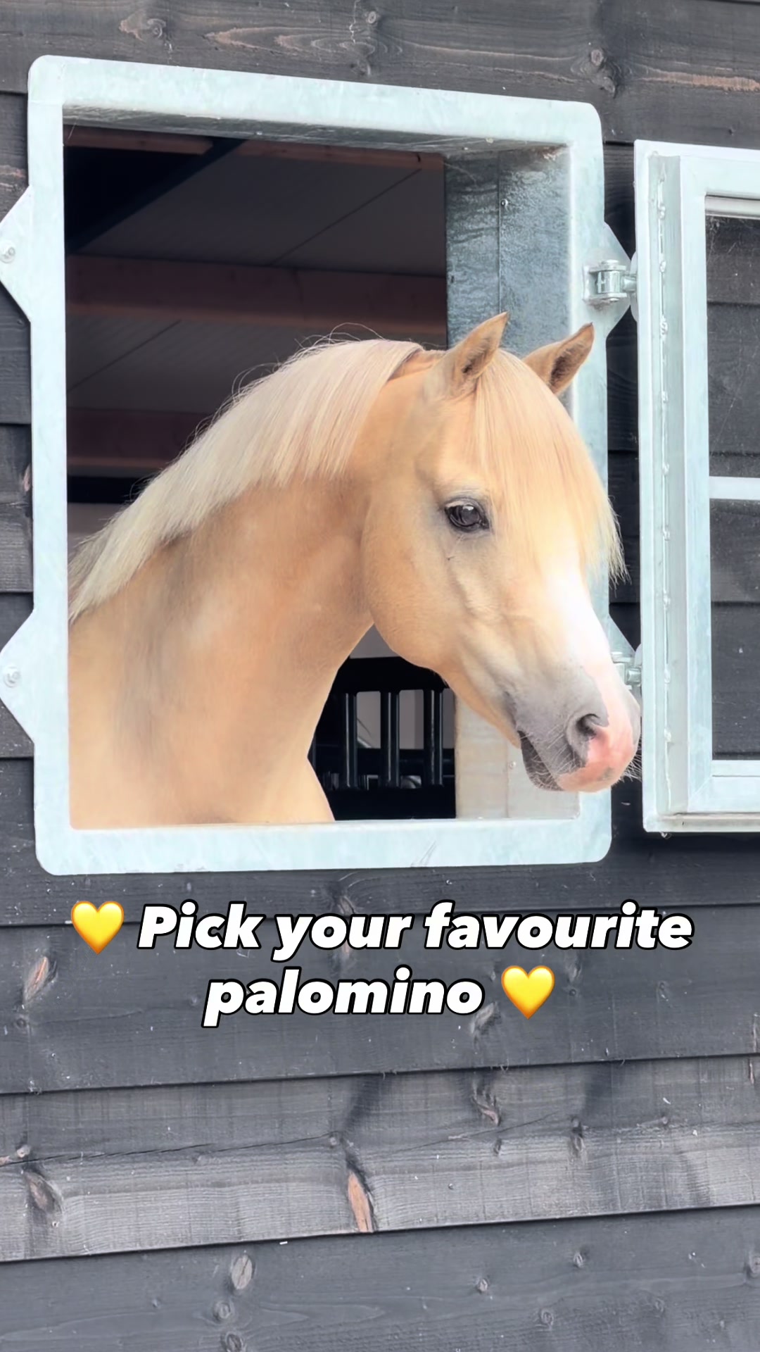 @Anais Super Pony&rsquo;s