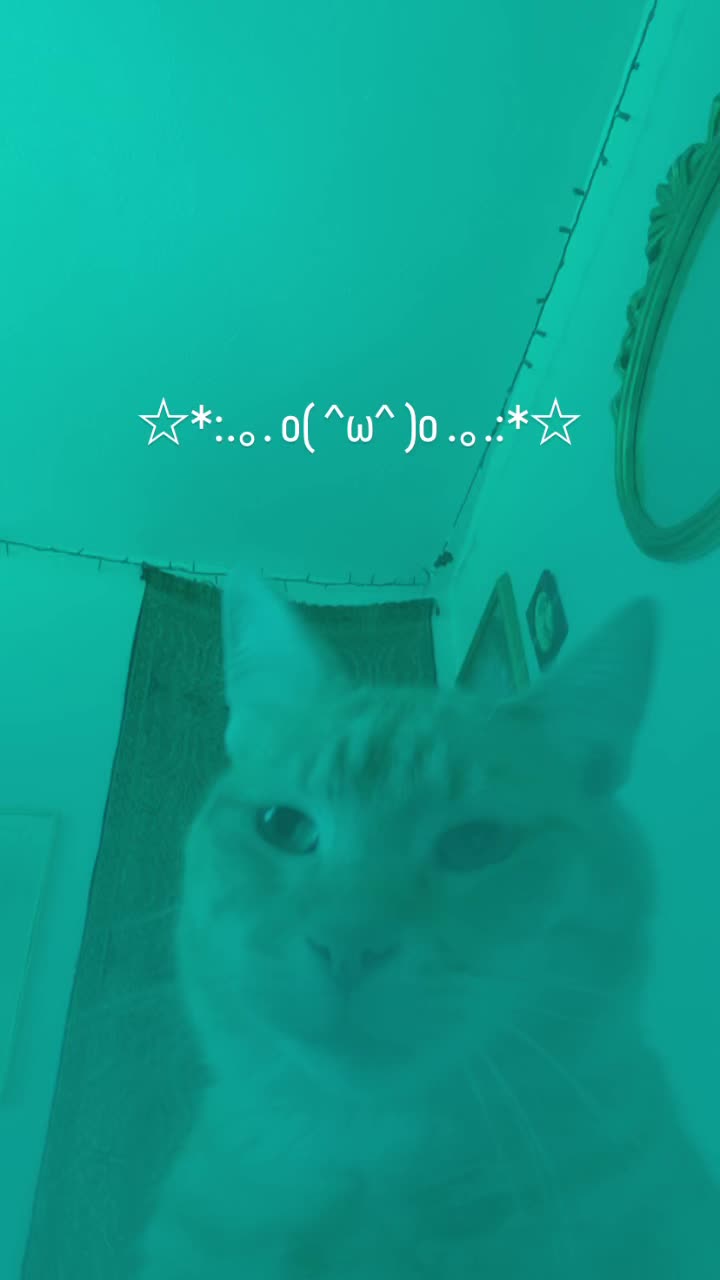 @gremlina*・☆゜゚・*