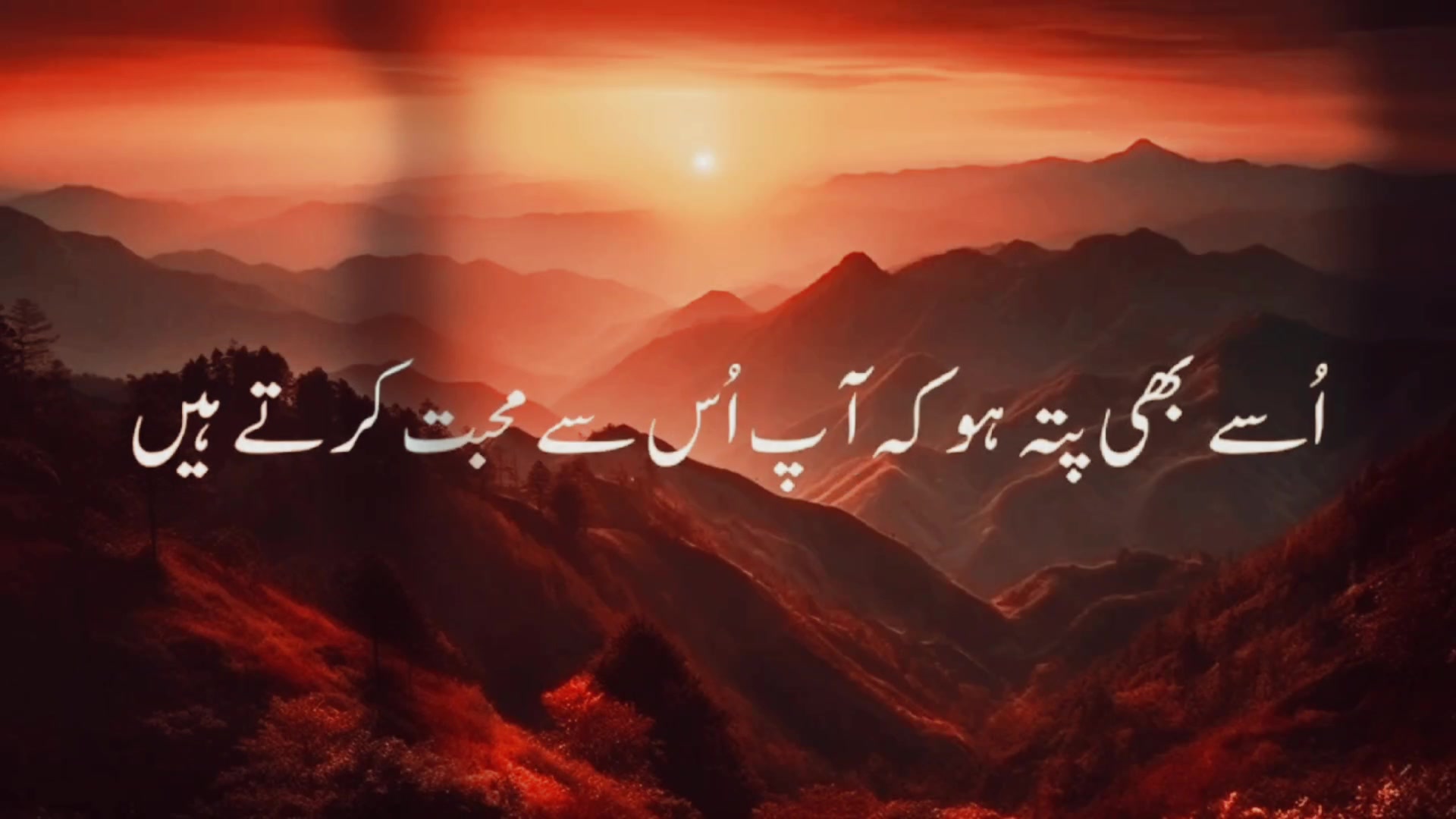 @Anaya balouch