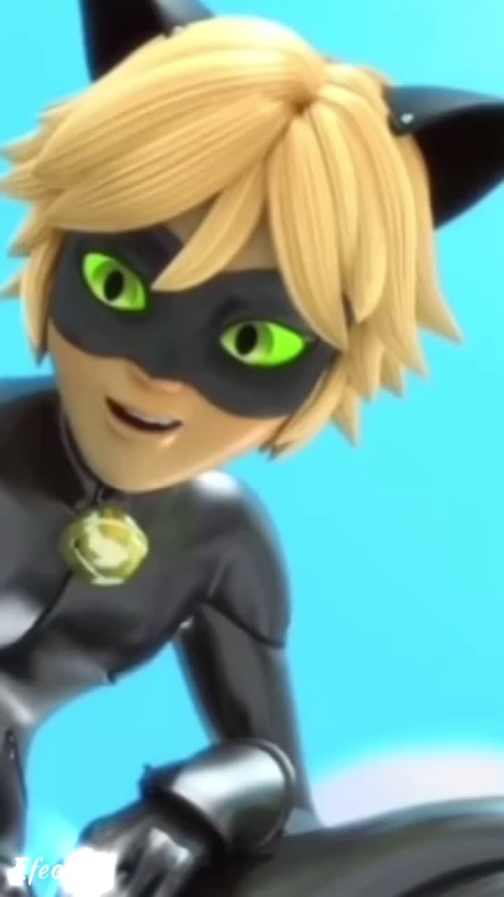 @miraculous😚🐞🐈⬛